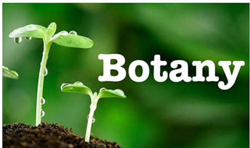 The image showing Botany ,the study of plants and its various branches.